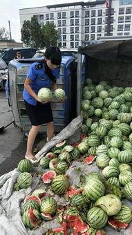 商丘直播吃瓜,揭秘网络红人的幕后故事