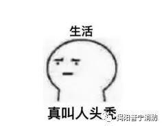 秃秃秃吃瓜,揭秘娱乐圈的“秃”闻趣事