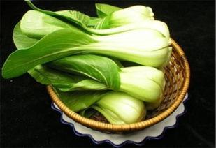 减肥吃白水兰瓜好吗,减肥期间的理想低热量美食选择