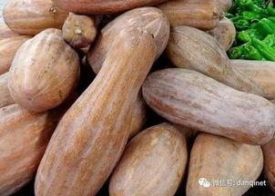 地脉阳虚吃瓜,夏日清凉瓜果养生之道