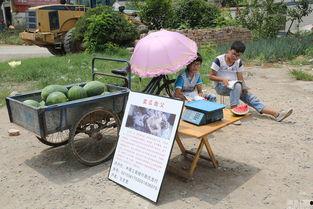 台前卖衣服吃瓜,卖衣吃瓜，共享夏日休闲时光