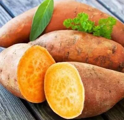 吃土瓜治痔疮,痔疮患者的天然良药