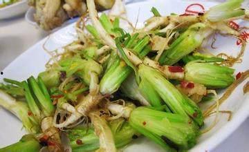 吃瓜香菜根,吃瓜者的新宠